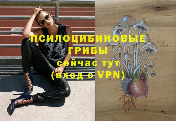 соль ск Бугульма
