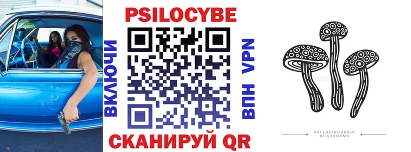 Псилоцибиновые грибы прущие грибы  даркнет официальный сайт  Грозный 